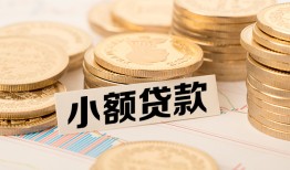 长沙私借哪里有小额贷款-长沙私借身份证贷款平台-长沙私借民间短借